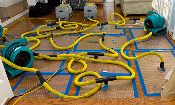Professional Sewage Cleanup technician working in Bennett, CO